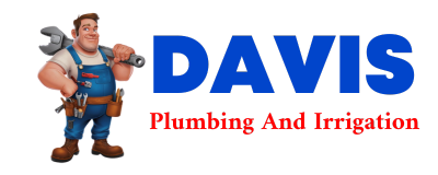 Trusted plumber in LOWER PEACH TREE